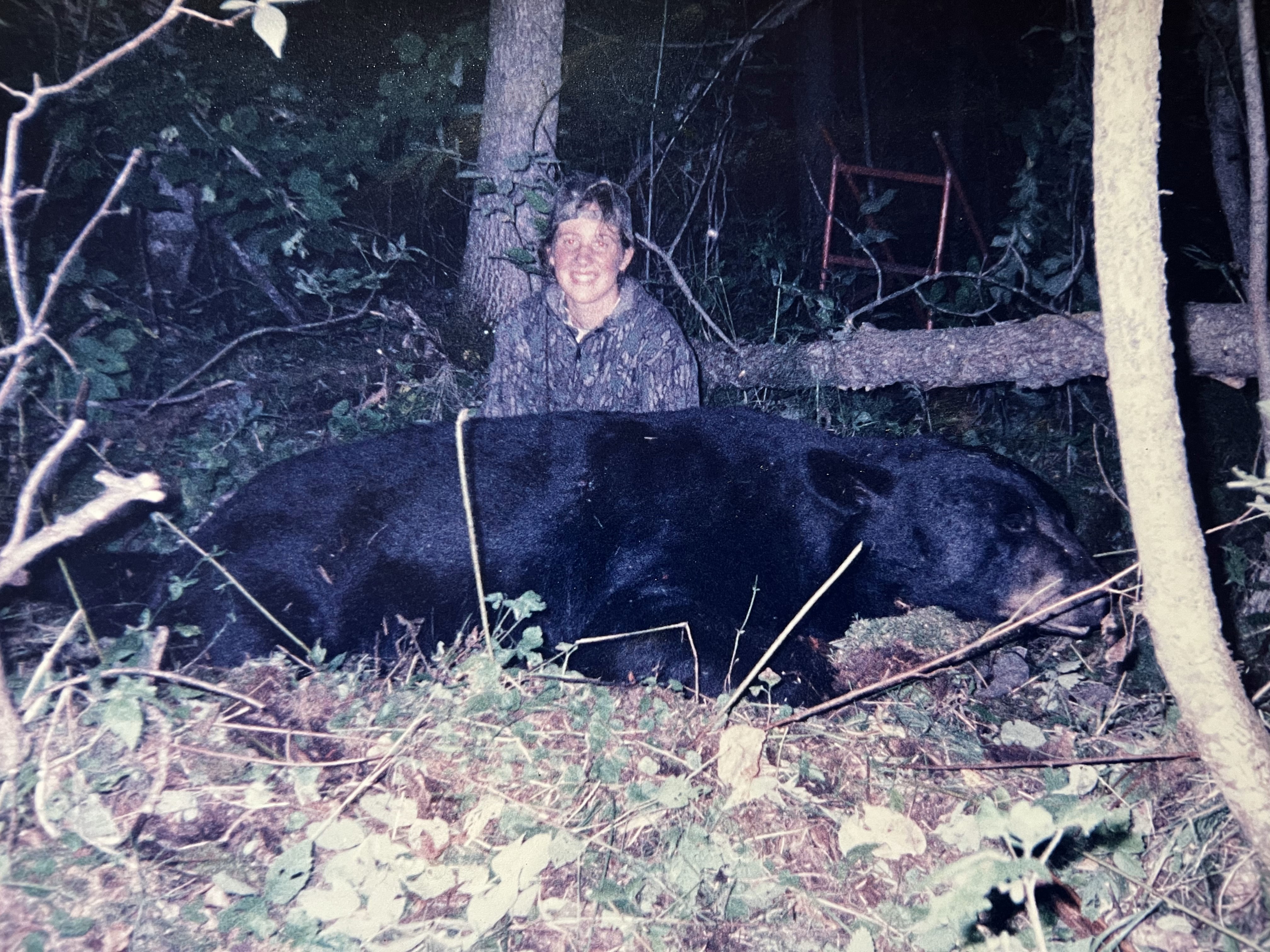 Alison Bear